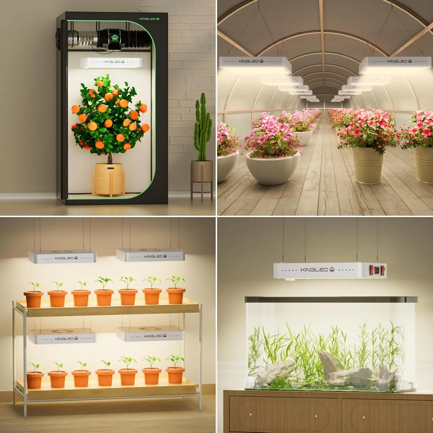 100W Full Spectrum LED Grow Light for Indoor Plants, 2x2ft Coverage with Veg Bloom Modes