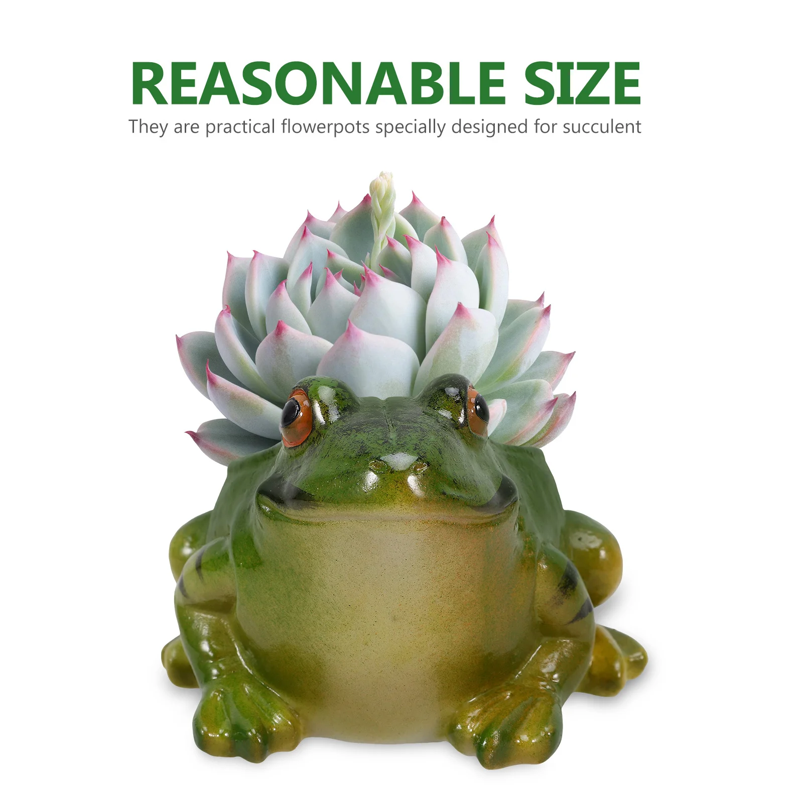 

Unique Frog-Shaped Ceramic Succulent Flower Pot Creative Small Plant Planter Suitable for Home Office Garden Green Plant