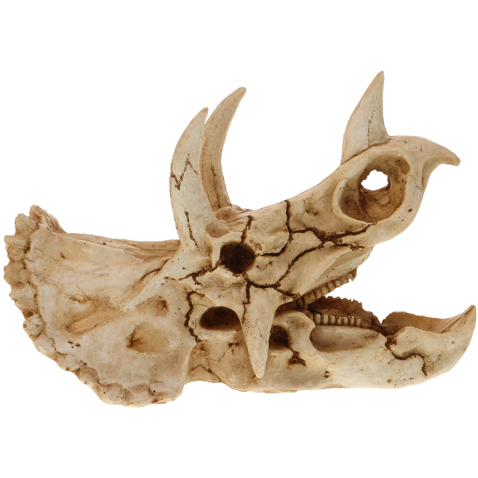 ديناصور الجمجمة الديكور مخبأ للزواحف الراتنج الكهف المأوى للتنين الملتحي سحلية أبو بريص السلاحف ثعبان خزان الأسماك #4