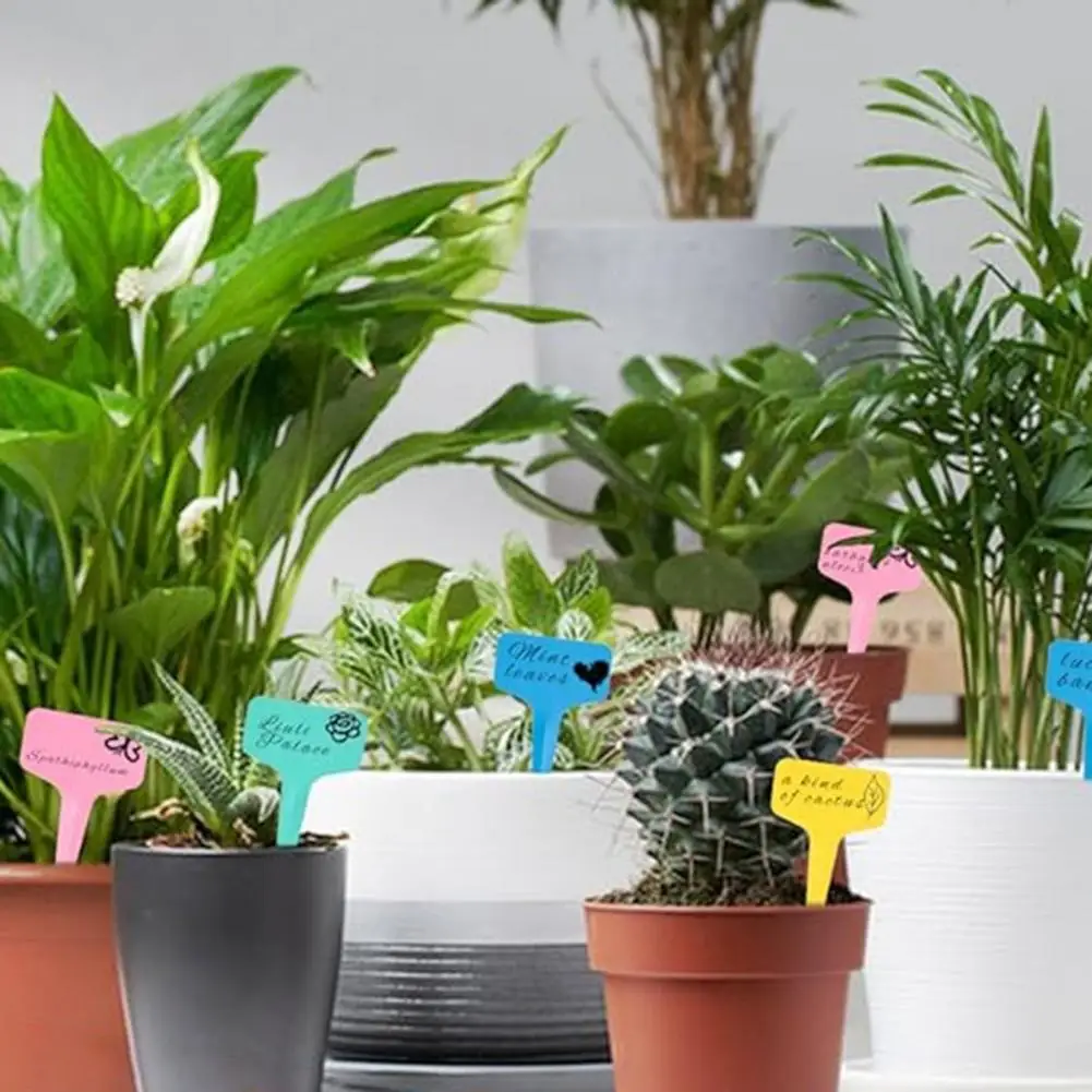 Plant Name Tags Reusable Plant Tags 100pcs T-type Plant Tags Garden Labels Plastic Markers Waterproof Reusable Identification