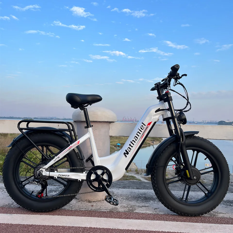 Dual Drive Integrated Wheel E-Bike 2000W 20x4.0 Tire 48V20AH for Urban Commuting & Off-Road Snow/Sand image 2