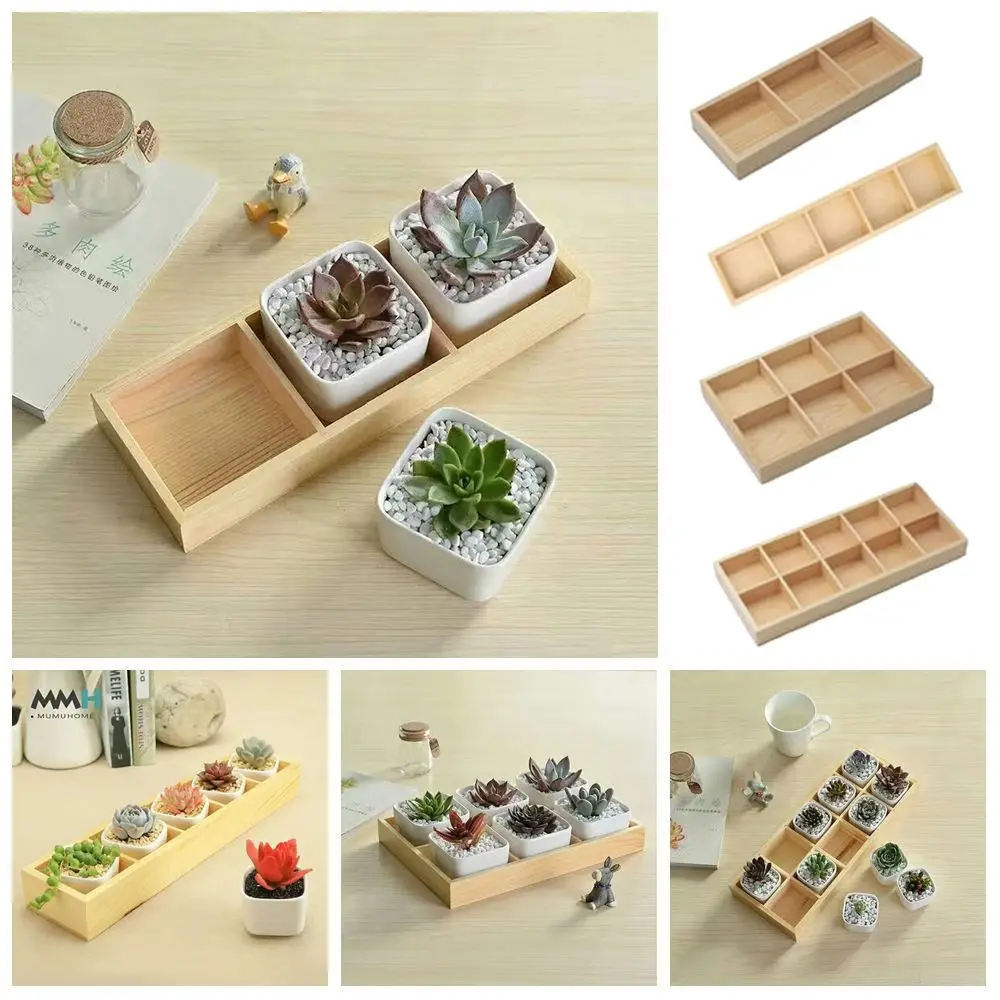 Multifunctional Succulent Flowerpot Tray Multi-grids Plant Pot Stand Desktop Sundries Organizer Cosmetic Tool Storage