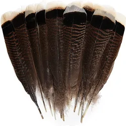 Clothing Decoration Natural Wild Turkey Tails Feathers Feathers Black Natural Quill Feathers 8-10inch DIY Crafts