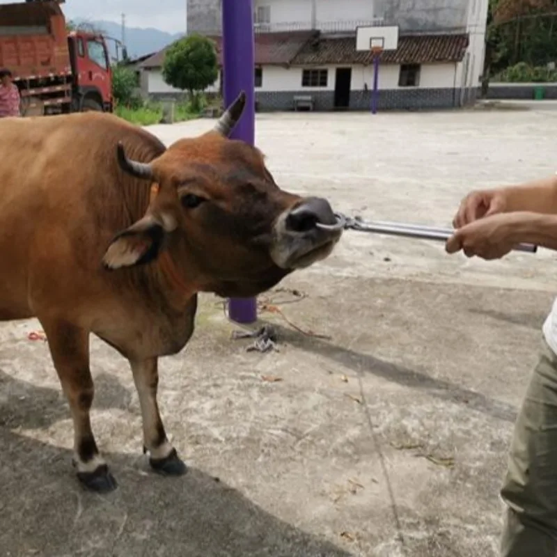 الكربون الصلب الثور كماشة بأنف ملزمة الجر أدوات طبيب بيطري المهنية المحمولة قابل للتعديل كماشة أدوات يدوية ذات مقبض طويل #6