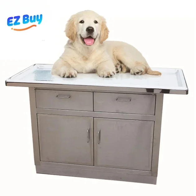 Veterinary stainless steel pet Exam with drawers animal diagnosis platform puppy dog treatment disposal cinet