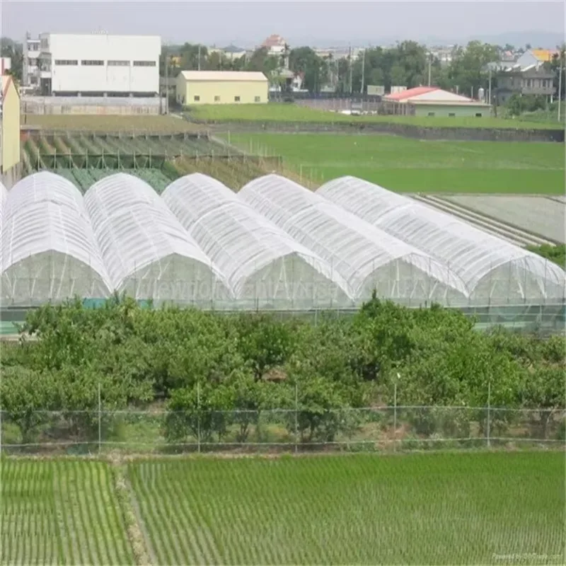 Agriculture Polyethylene Insect Mesh Net for Trees Greenhouse 40 50 Mesh Garden