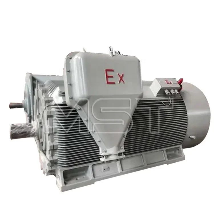 Three Phase Explosion Proof Coal Mine Motor 710kW 3 Phase Induction Motor