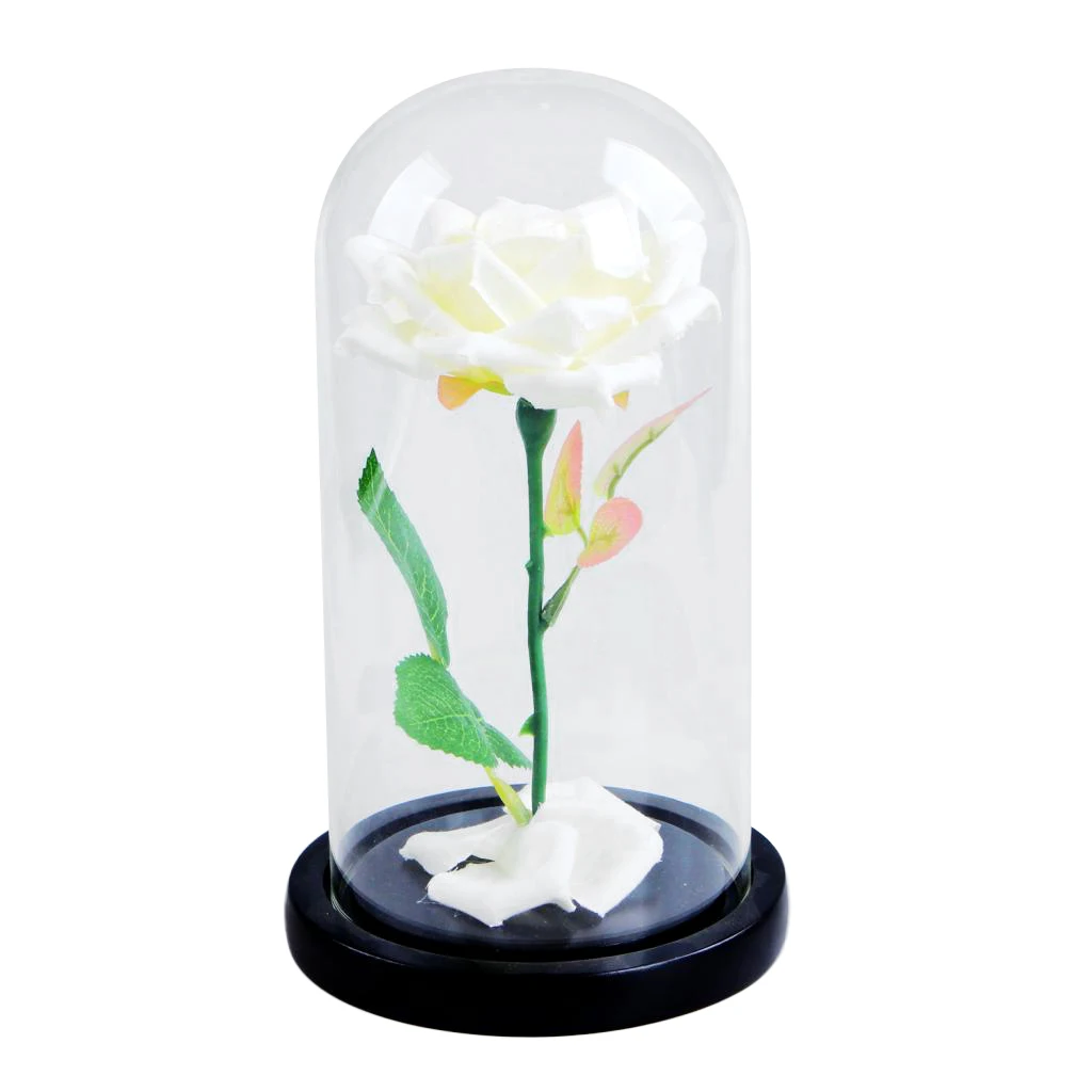 Floral Glass Dome Wooden Base Real Rose Petals Cover Box Decorative Microlandscape Centerpiece Tabletop Display Decor for Home