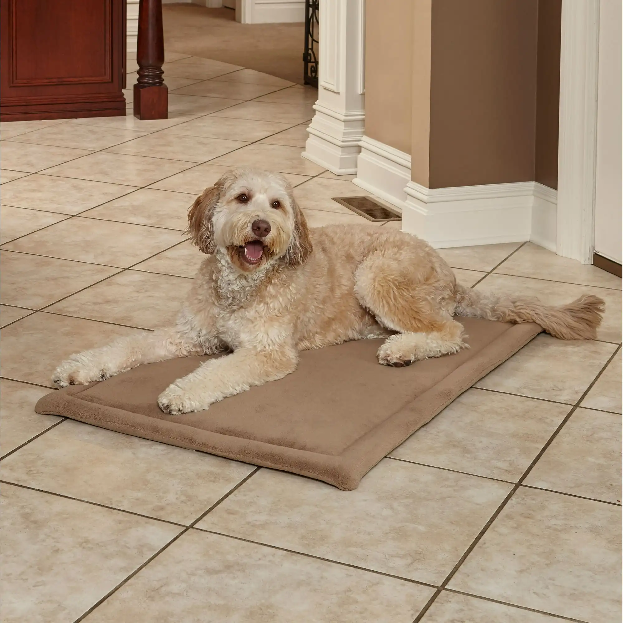 

MidWest Homes for Pets QuietTime 48 Inch Deluxe Micro Terry Large Dog Pet Bed