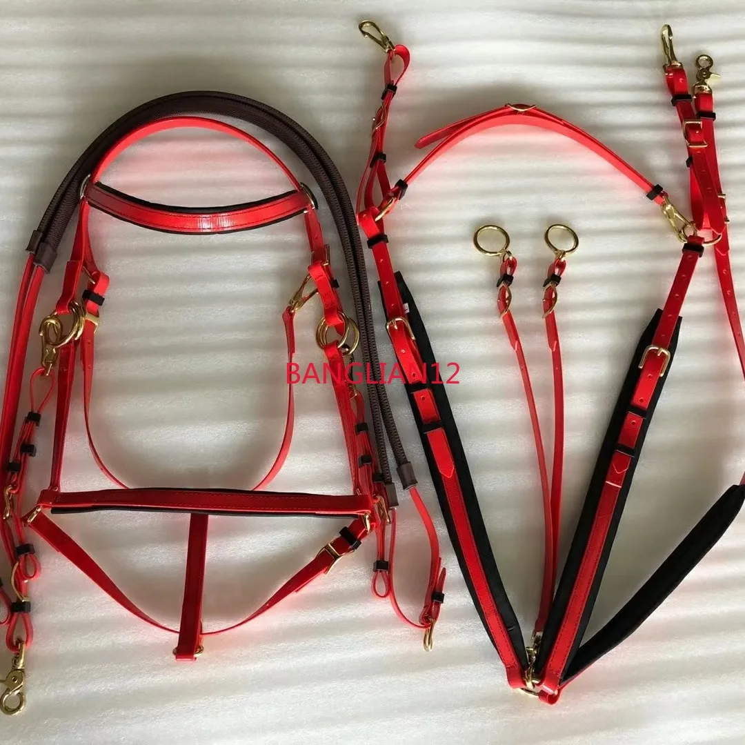 

Endurance water reins, head-down leather chest strap, antifreeze, non-slip and wear-resistant accessories