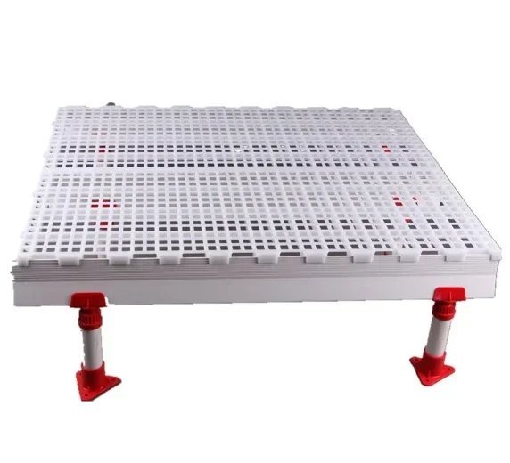 White Color Plastic Poultry Slat Floor for Chicken Farm Hot Sale