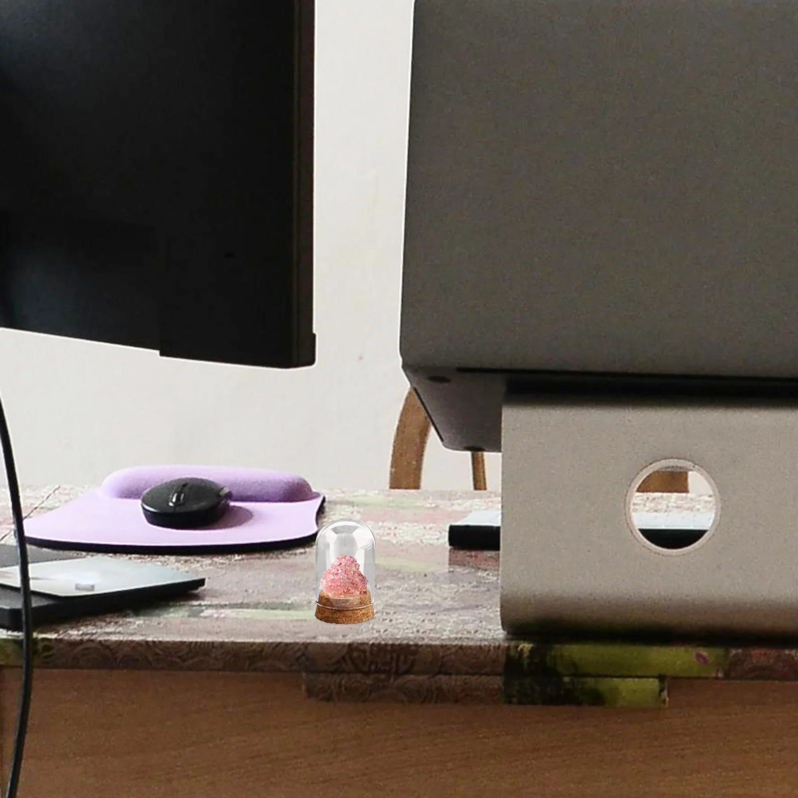 

4Pcs Glass Dome Preserved Flower Display Dome Transparent Glass Cover Wood Tray Indoor Outdoor Decorative Display Case