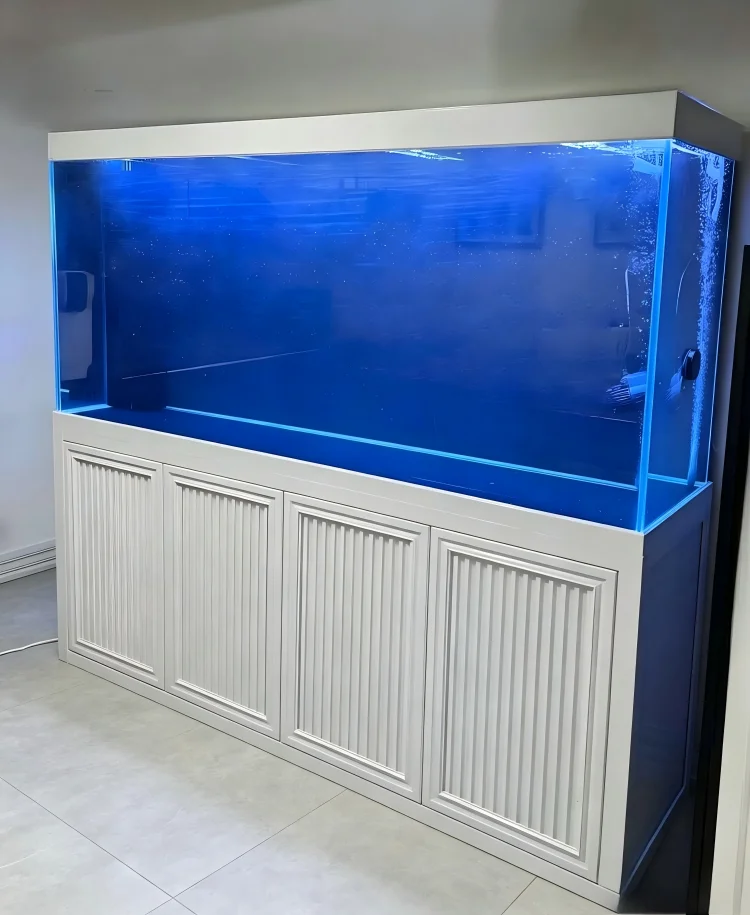 Aquarium Fish Big Size - Big Size Aquarium Fish Tank Large