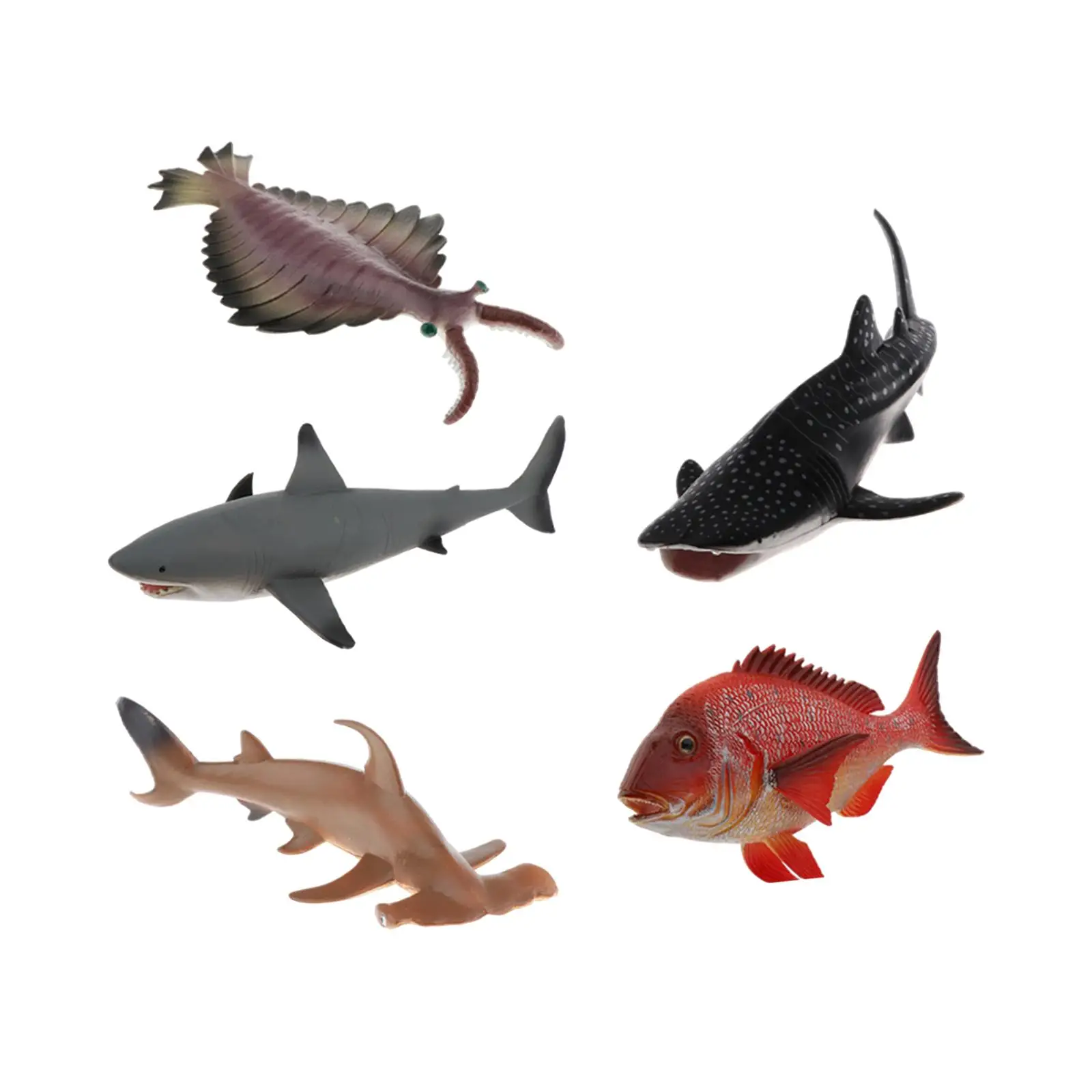 Mini brinquedos estatueta animais do mar, brinquedo educativo aprendizagem, 5 pcs