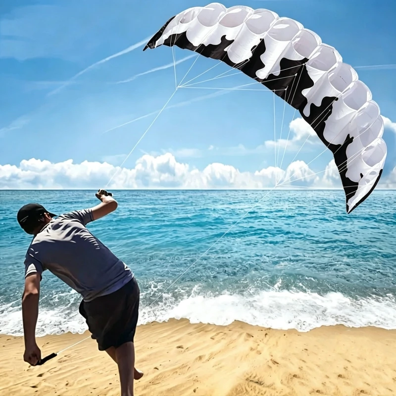 200cm Dual Line Power Kites Parafoil kites fly Sports Beach stunt kite surfing kite street toys professional kite Winder pipa