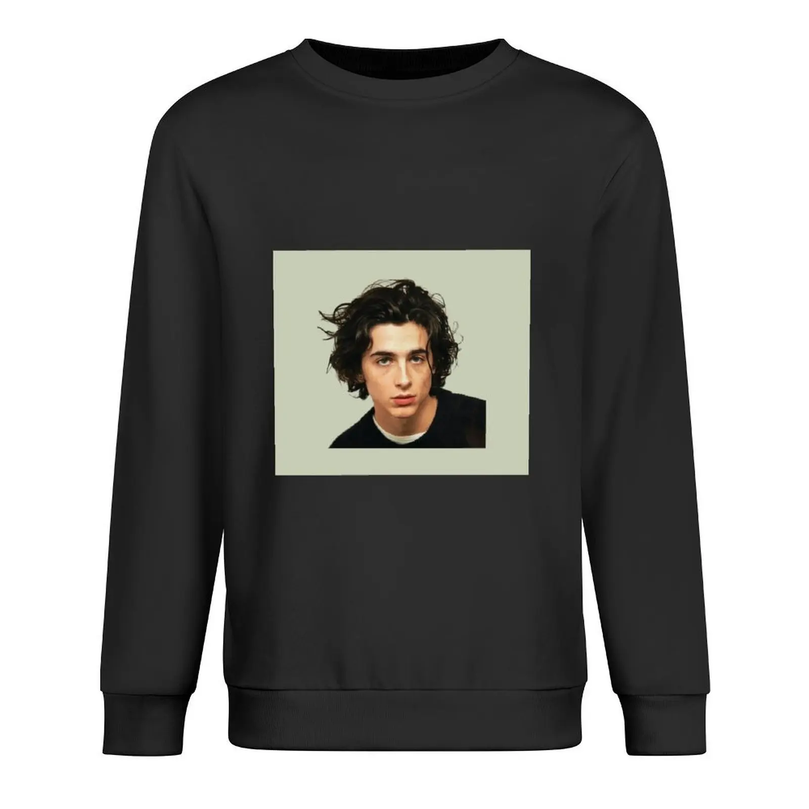 

timmy Pullover men's sweat-shirt set tracksuit men men's winter sweater men clothing autumn sweatshirt