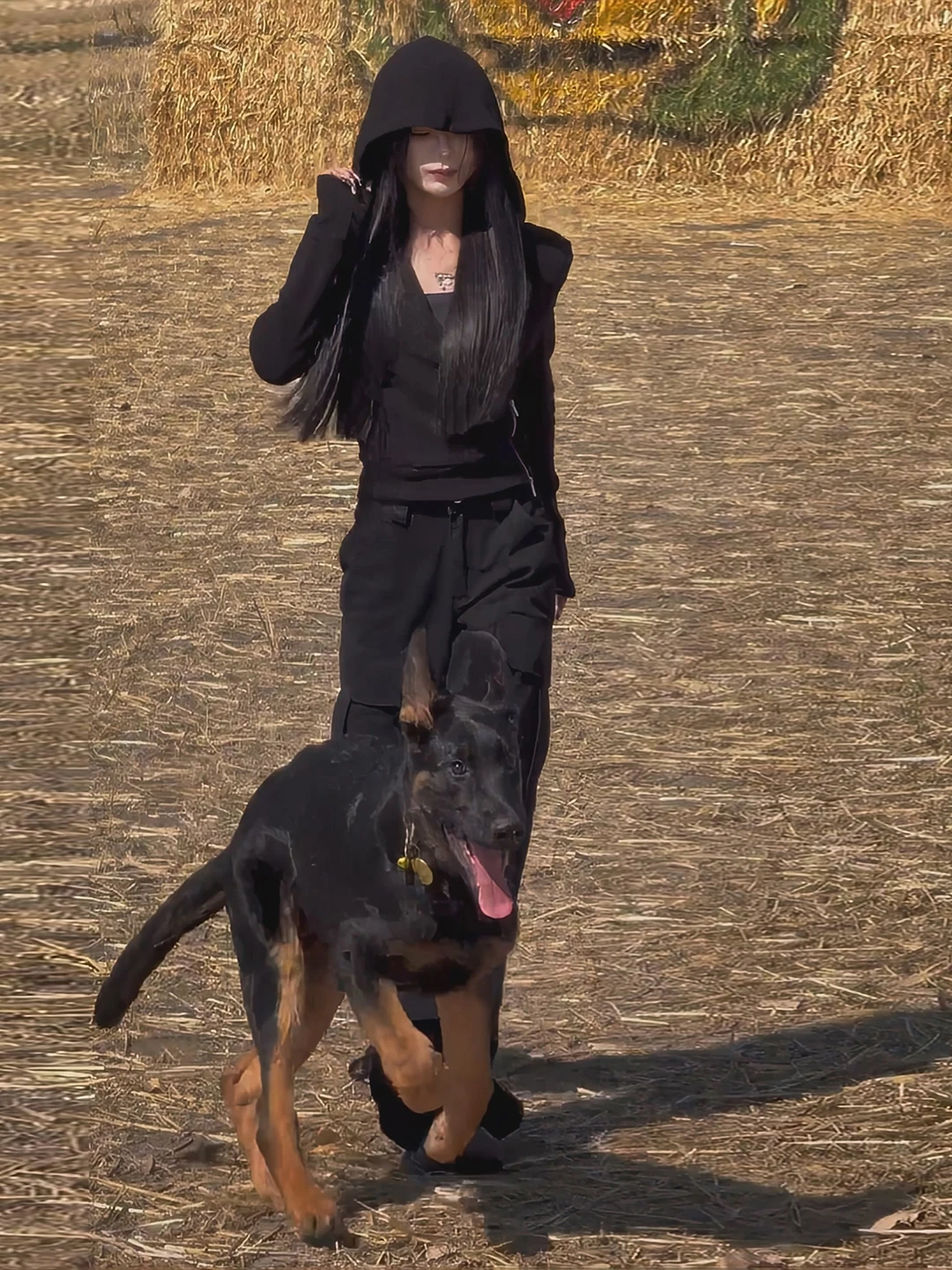 

Early Spring Faion Set Women's Casual Hooded Top And Work Pants Slimming Design High Waist Comfortable Long Sve Two Piec...