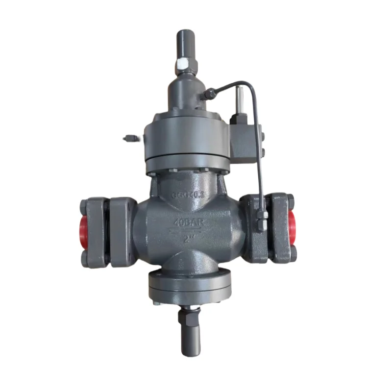 

Direct Factory Price Differential Pressure Regulating Valve for Reduce Pressure of The Media Line