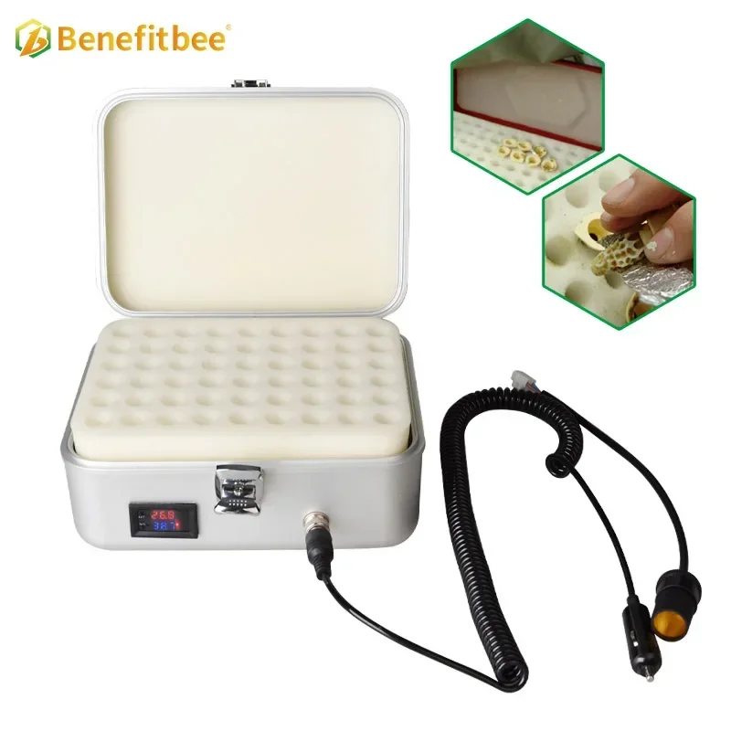 Queen Bee Automatic Incubator Hatcher Bee Queen Battery Brooder for 54 Queen Cells