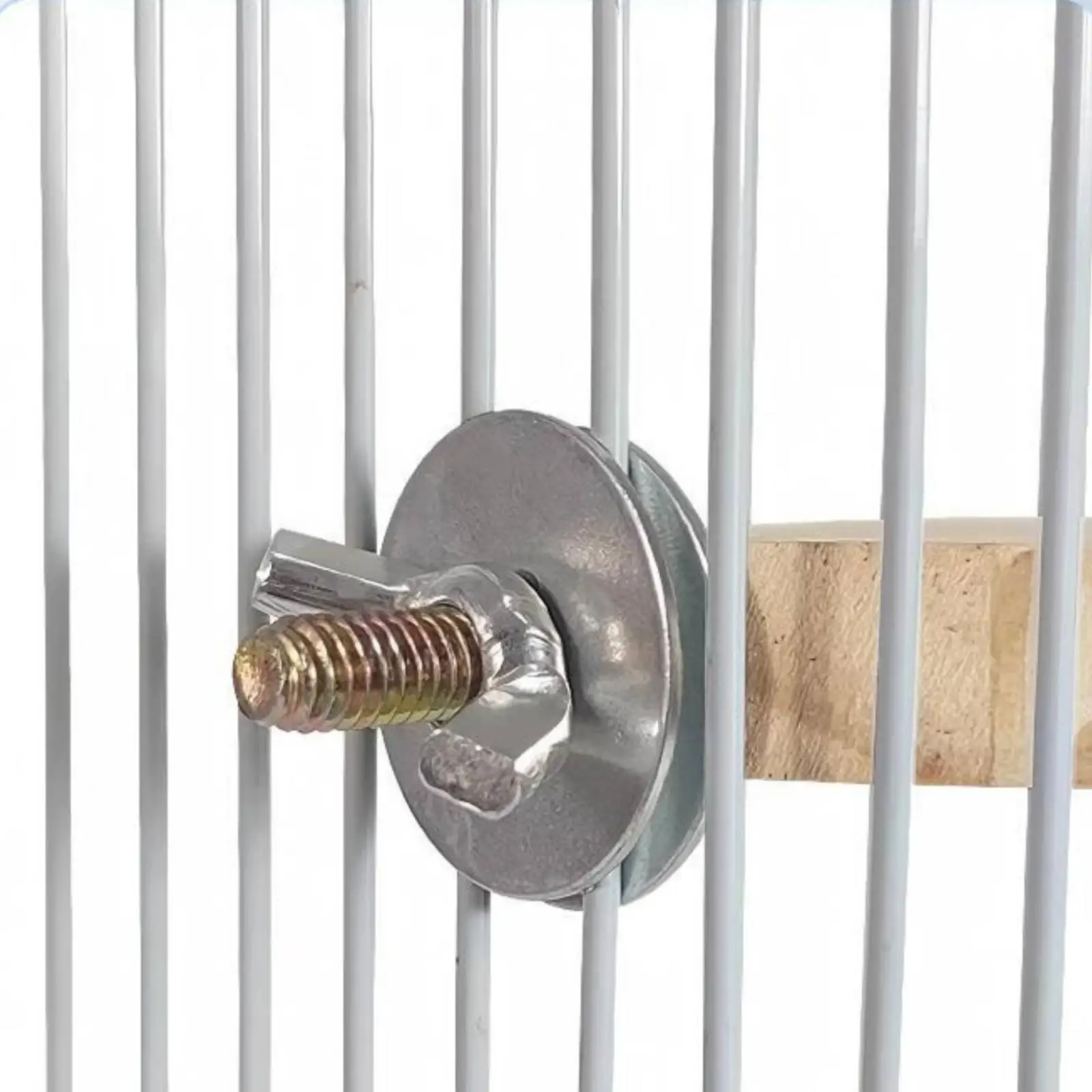 Hanging perch for flying squirrels, for gnawing, birdcage board