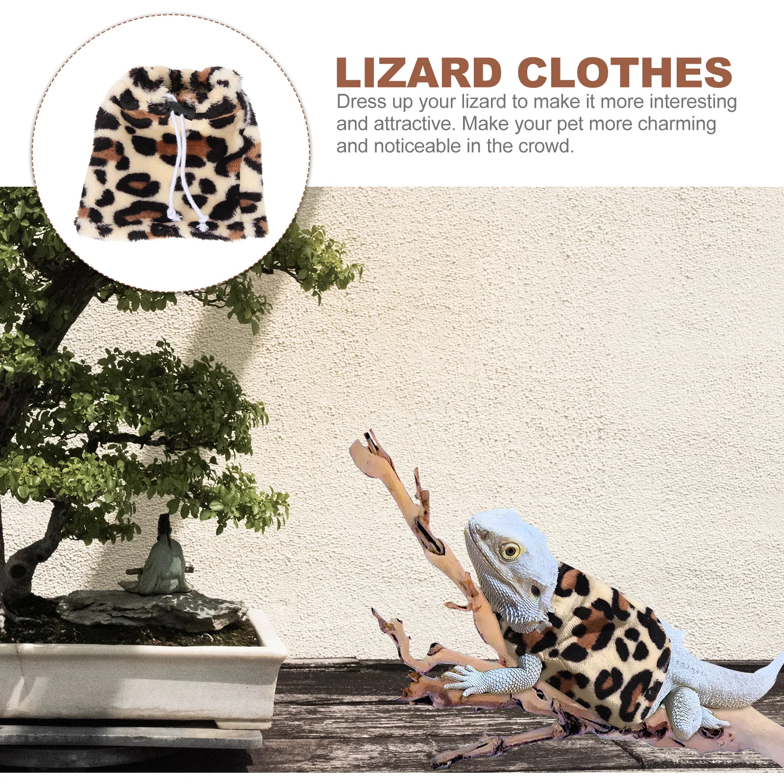 ملابس التنين الملتحي، ملابس الزواحف الصغيرة، ملابس خارجية دافئة، سحلية، مدمجة خفيفة الوزن، آمنة ومريحة للمشي #5