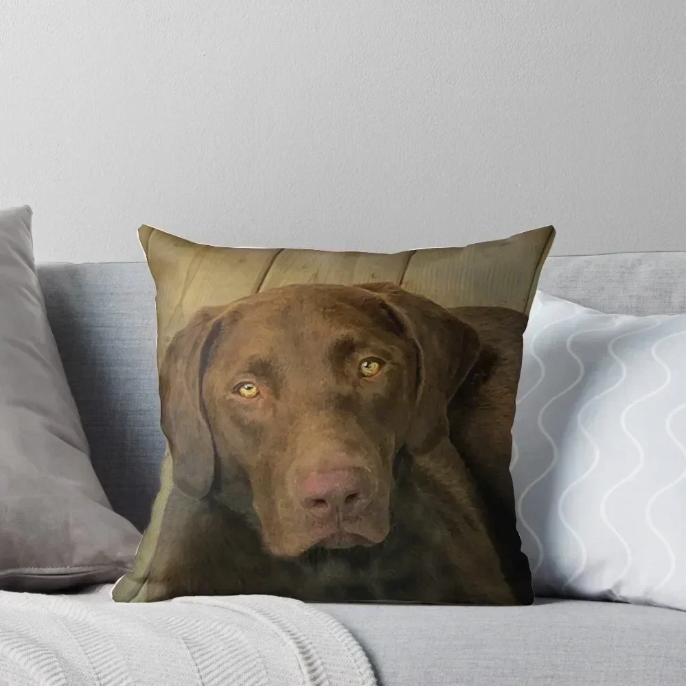 

Chocolate Lab Throw Pillow Sofa Decorative Covers Embroidered Cushion Cover Marble Cushion Cover pillows decor home pillow