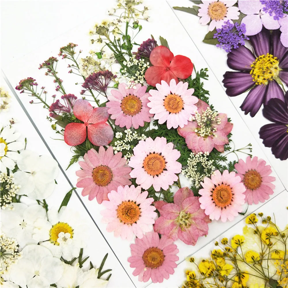 Mixing Multiple Dried Flowers Kit Personalized Pressed Flower Bookmark For Scrapbooking