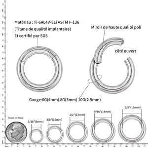 Kanan Grand ASTM F136 Titanium Pengukur Besar 6G 8G 10G Segmen Clicker Berengsel Tunggal Cincin Ring Septum Tindik Hidung 10 penjualan terbaik tindik tongkat pangeran albert - №