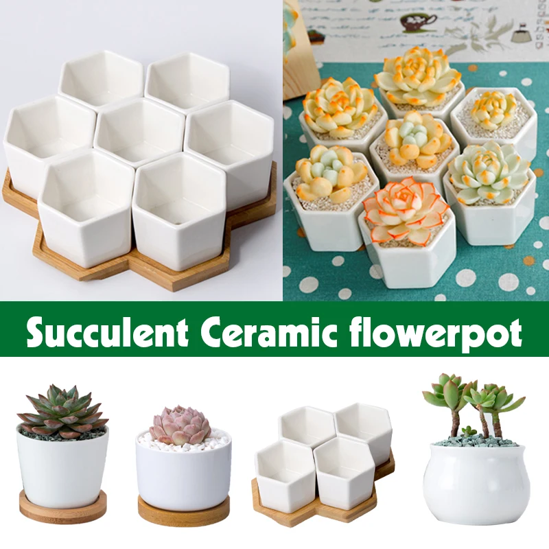 Hexagon Flowerpots With Bamboo Stand White Ceramic Succulent Plant Pot Small Bonsai Flower Pots Green Planters Home Office Decor