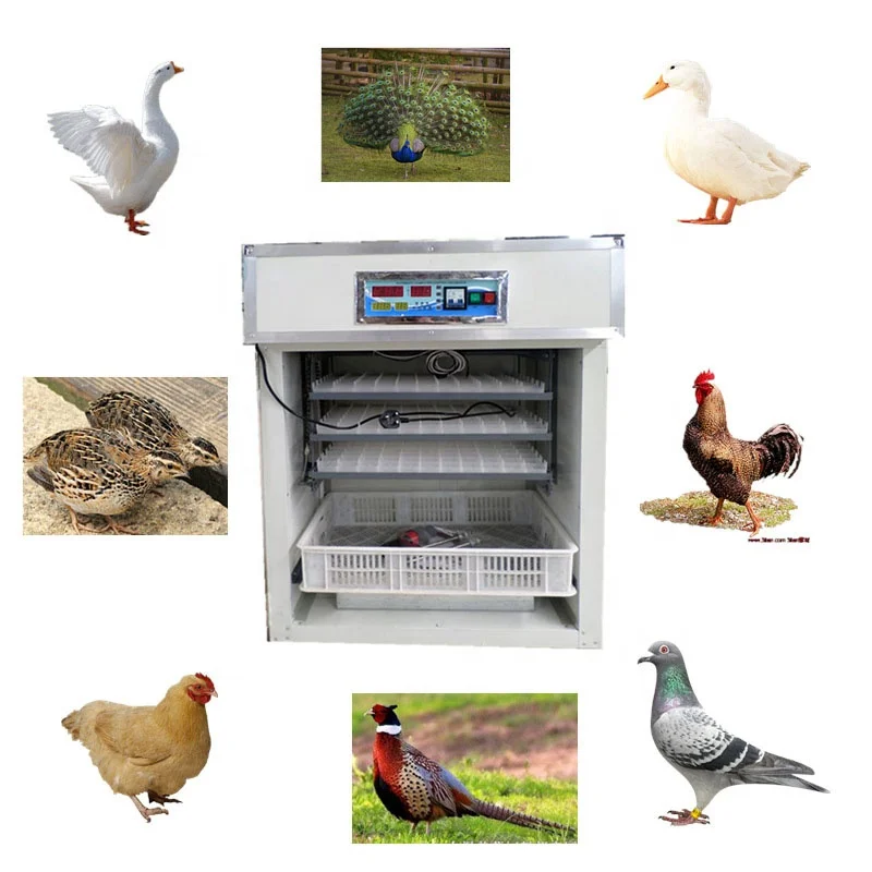 Automatic Egg Incubator, Digital Control, Temperature Humidity Monitoring, 96 Egg Capacity, Poultry Hatching Machine