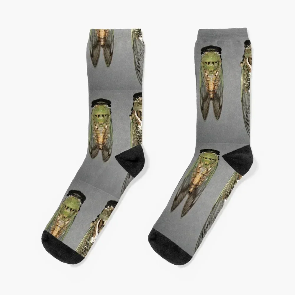 Central Texas Cicadas 2 Socks men cotton high quality winter gifts Non-slip Designer Man Socks Women's