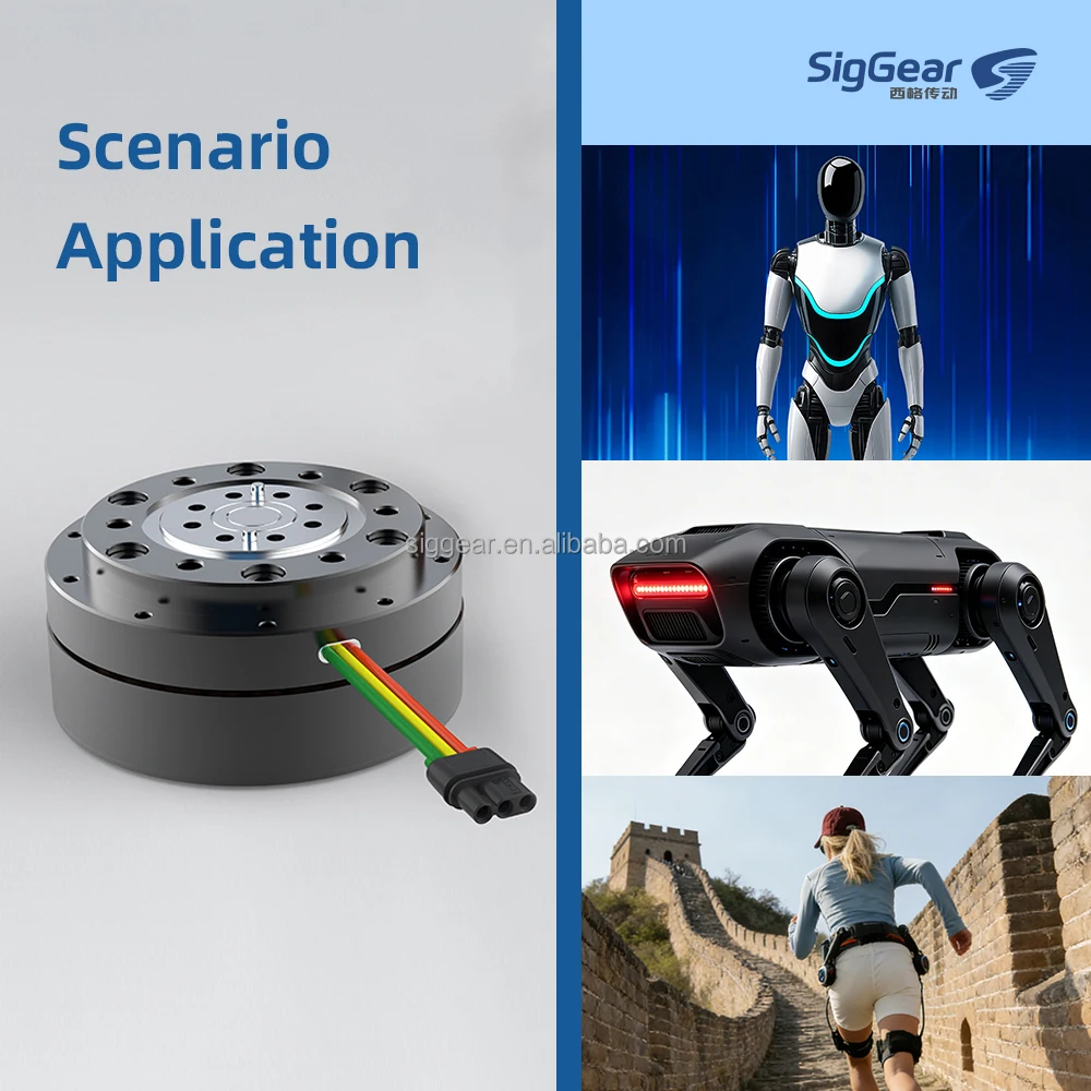 Robot Dog Motor High Torque Joint Drive Brushless Gear Motor For Quadruped Robot Dog Legs Smart Robotics Servo Actuator Custom