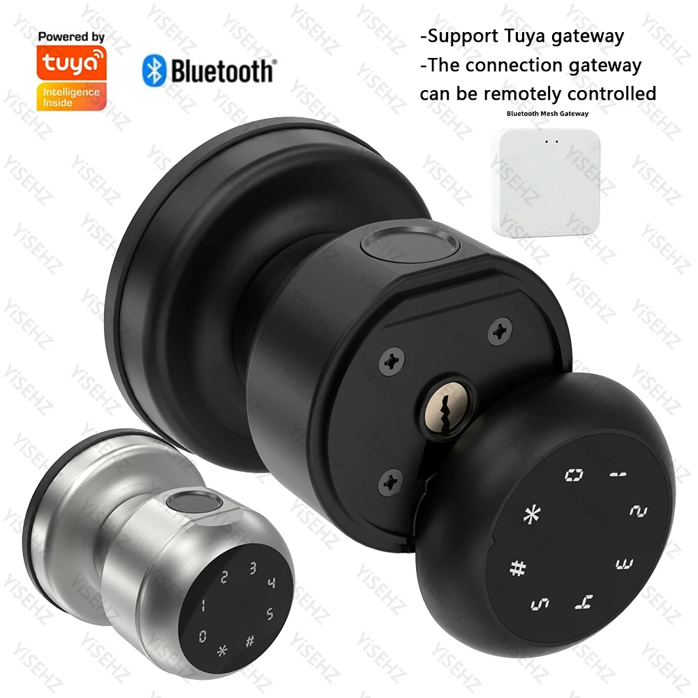 Tuya Bluetooth Fingerprint Smart Door Lock Biometric With Mechanical Key/Password/APP Unlock Easy Replacement Keyless Entry