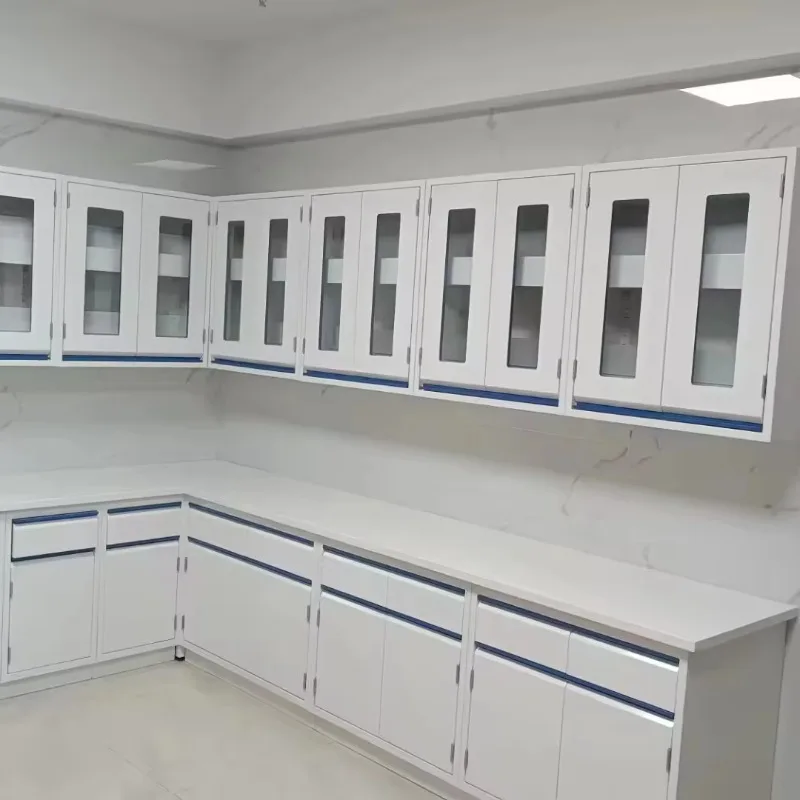 EXW All-Steel Experimental Workstation Reagent Rack Cleanroom Workbench For Research Institute University Biology Lab