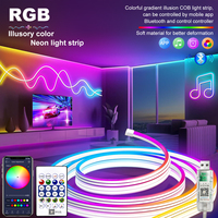 5V LED Strip Lights Bluetooth RGBIC Neon Strip Remote Control With Music Sync DIY Bedroom Home Decoration Changing Ambient Light