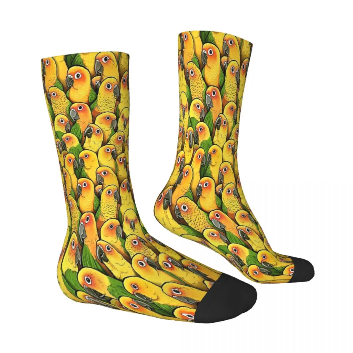 Jenday Conures Parrot Bird Socks Male Mens Women Summer Stockings Harajuku