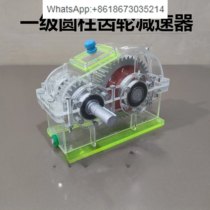 One-stage cylindrical gear reducer model/Disassembly and assembly surveying and mapping teaching Transparent gear reducer/