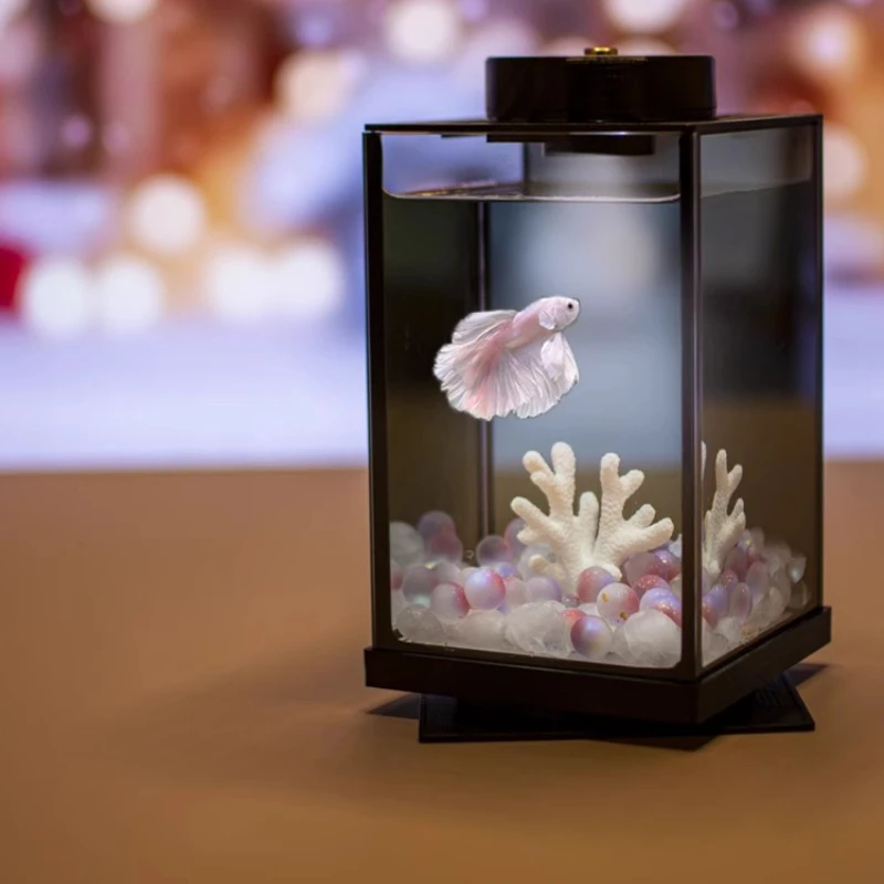 

Modern Small Aquariums Glass Luxury Bedroom Hotel Personality Aquariums Minimalist Design Fish Bowl Pet Products Acquario Lsyg
