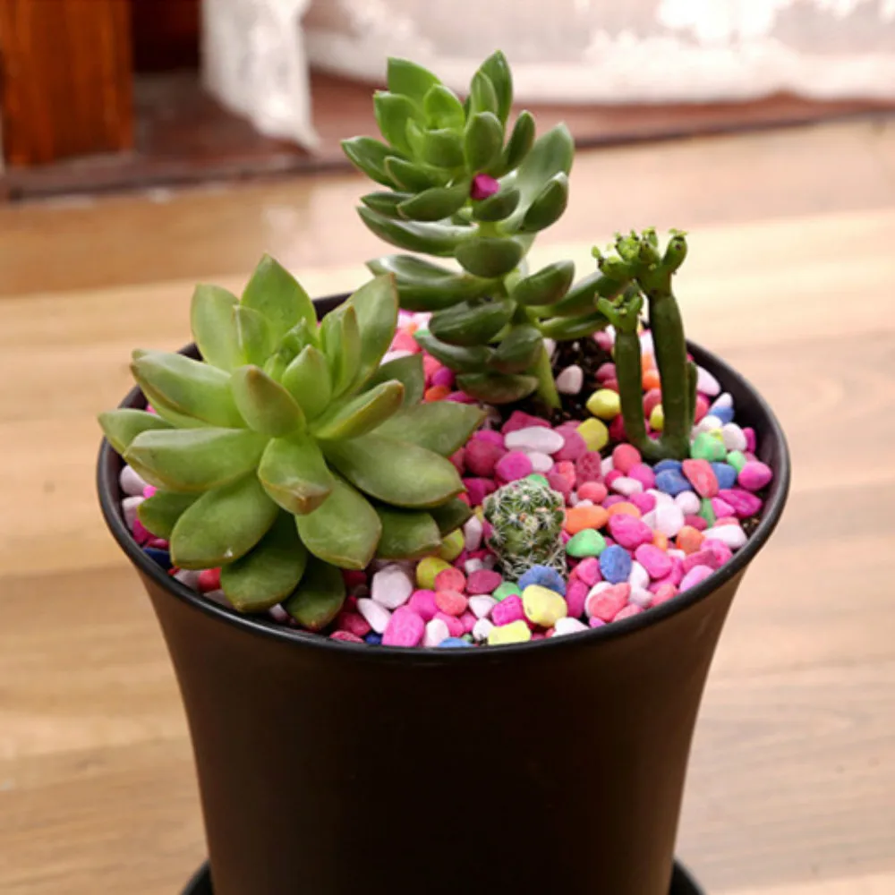 10 pezzi bianco, nero rotondo succulente vaso di fiori vaso di piante fioriera vasi di plastica per la decorazione del giardino dell\'ufficio