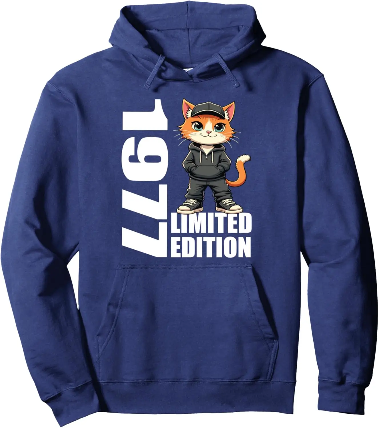 Limited Edition 1977 Birthday 1977 Born 1977 Vintage Pullover Hoodie Kawaii Clothes  Harajuku Anime Hoodie