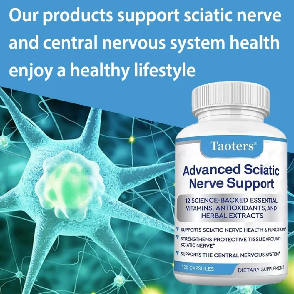 Advanced Nerve Support Formula - Acetyl L-Carnitine, Alpha Lipoic Acid and B Vitamins, 120 Capsules