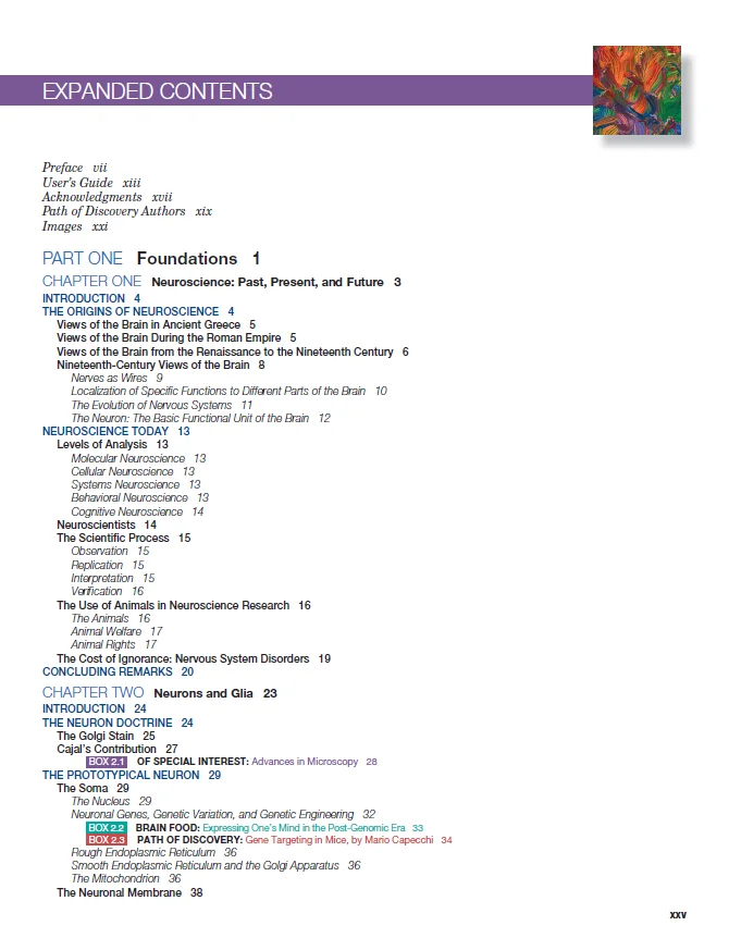 Neuronauka: badanie mózgu 4.