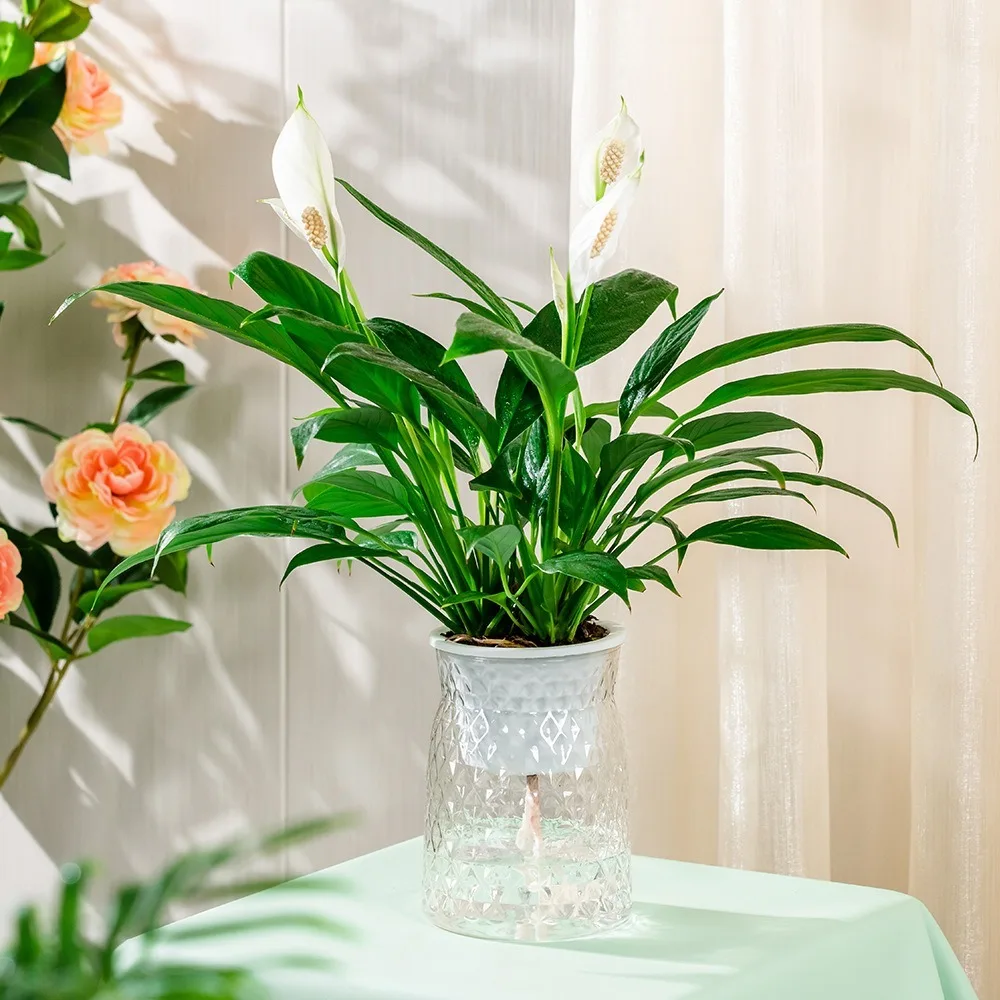 Creative Self Watering Hydroponic Flowerpot Removable Double-layer Hanging Planters Plastic Tabletop Vase