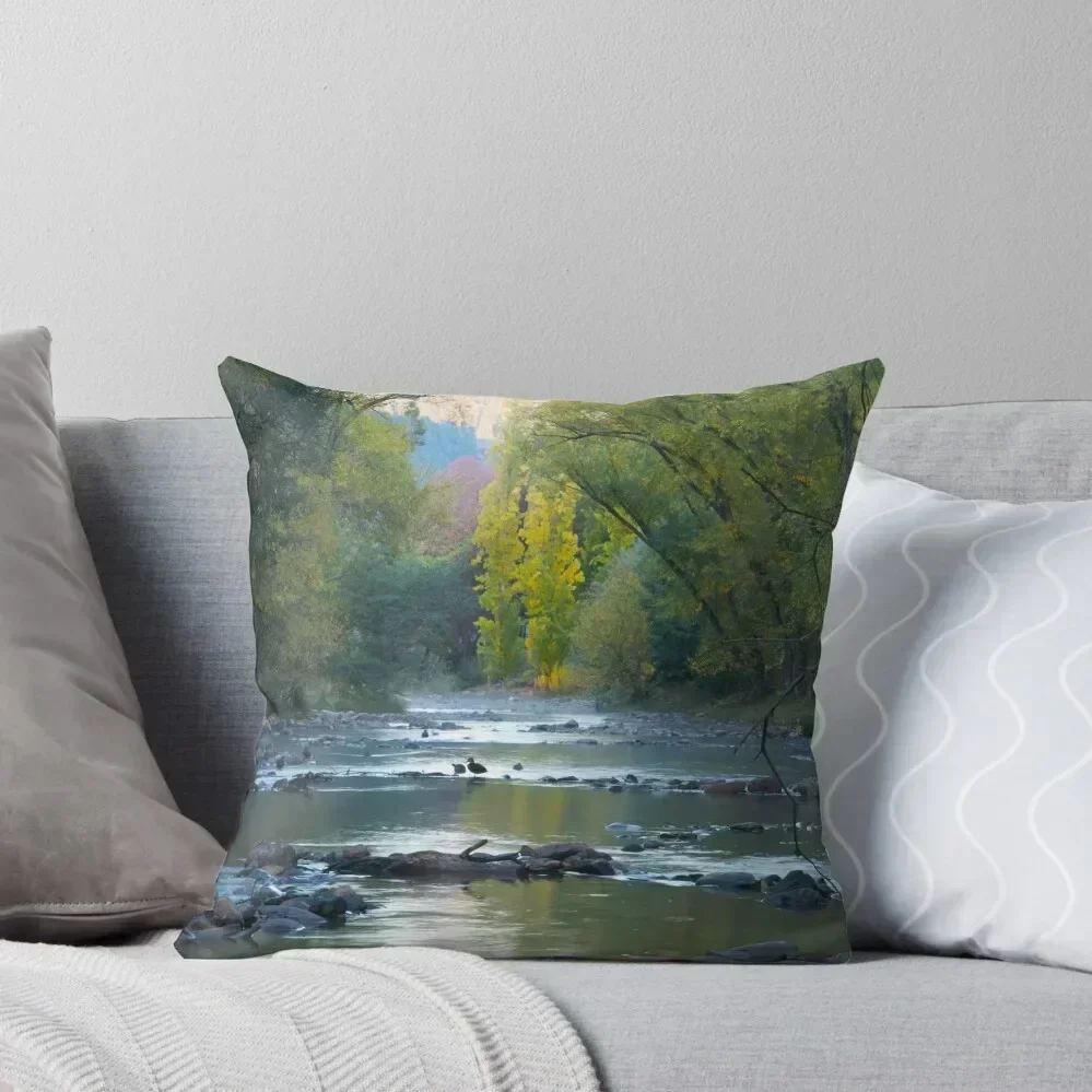 Very early morning at Bright in Victoria Throw Pillow Decorative pillow case Sofa Cushions Cover pillow