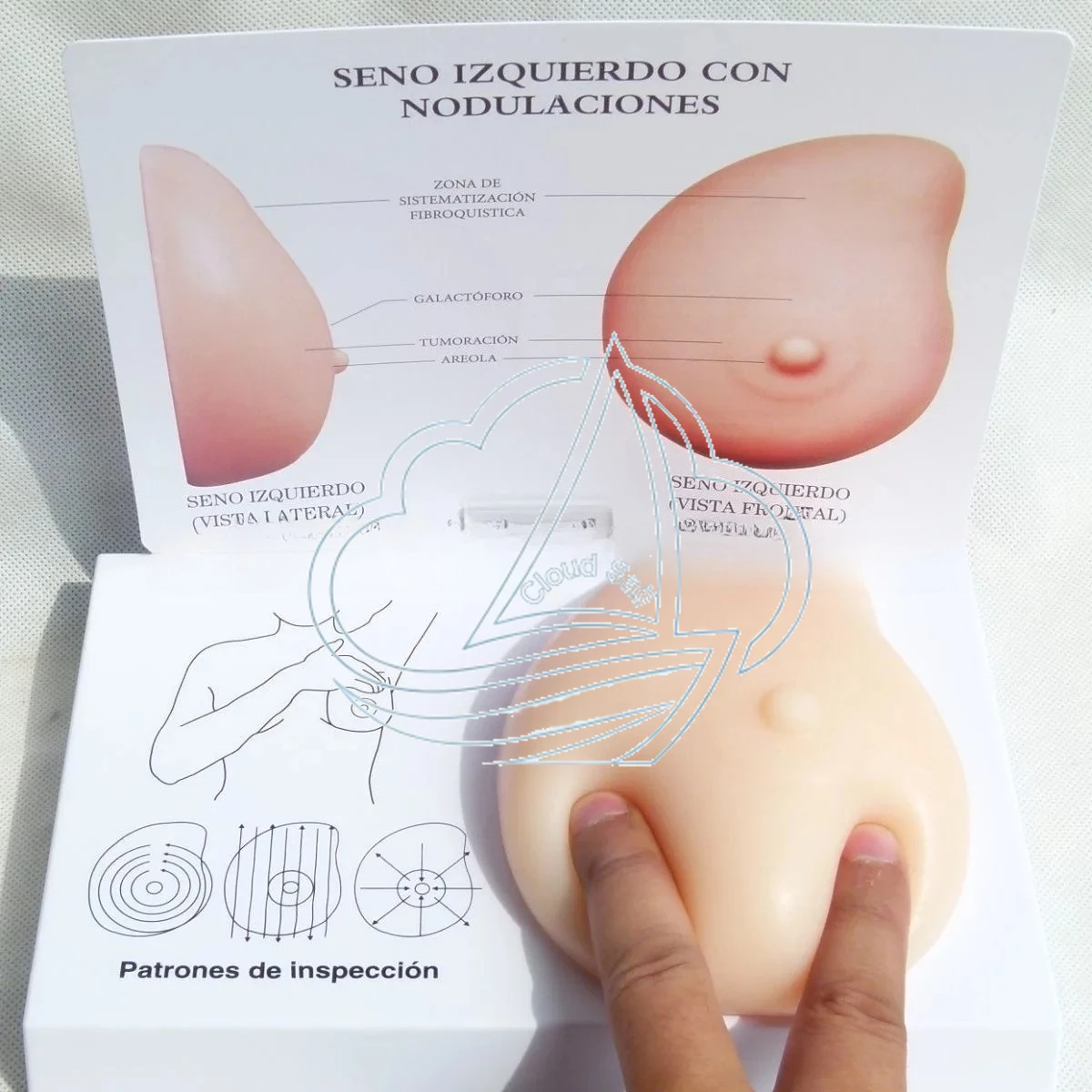 Professional Silicone Human Body Model for Breast Self-Examination Medical Training Tool Simulated Anatomy Educational Aid
