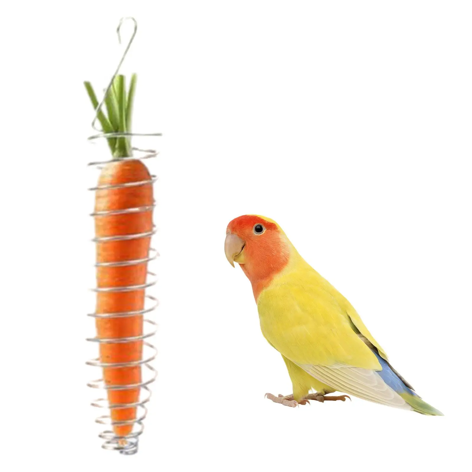 

Parrot Basket Feeder Food Holder Versatile Sturdy Vegetable Millet Container