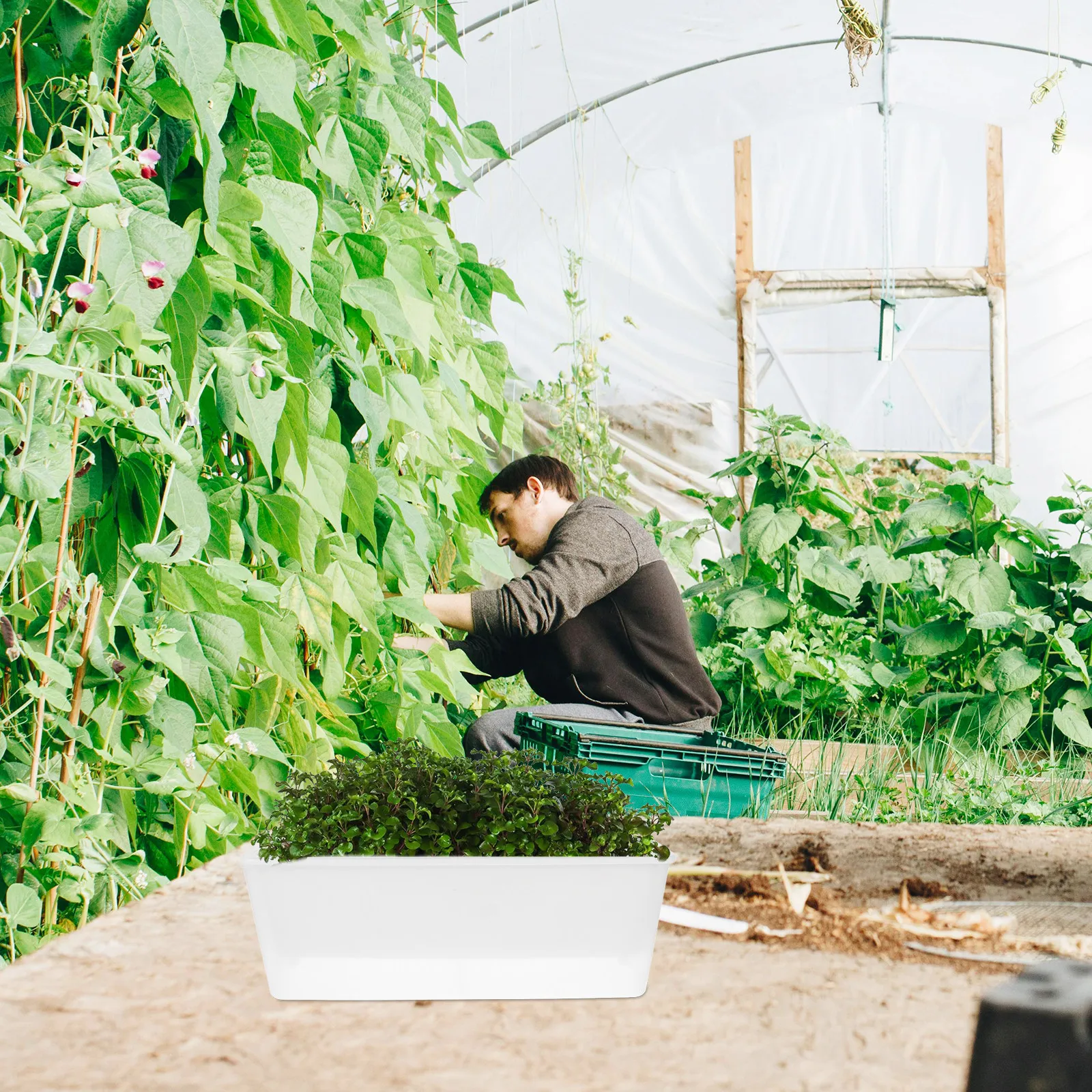 

Узкий прямоугольный ящик для растений, длинный, для уличных и комнатных растений, для трав