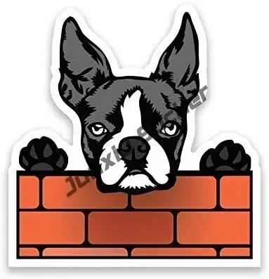 Рисунок 5 - Улыбающийся Бостон-терьер