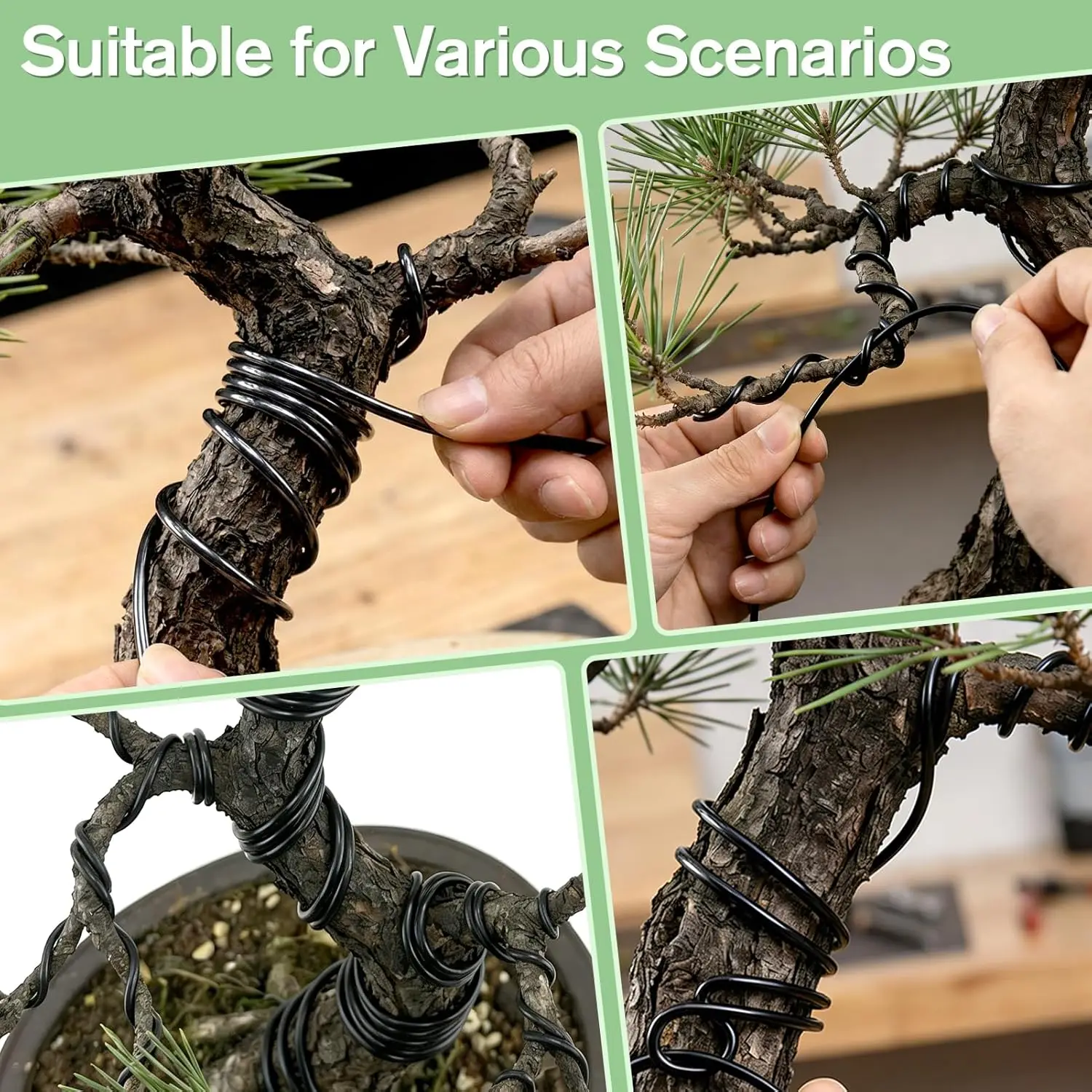 Bonsai Wire Plant Support Anodized Aluminum Bonsai Training Wire for Plant Shaping Garden Accessories 1/1.5/2/2.5/3/3.5mm - view 5