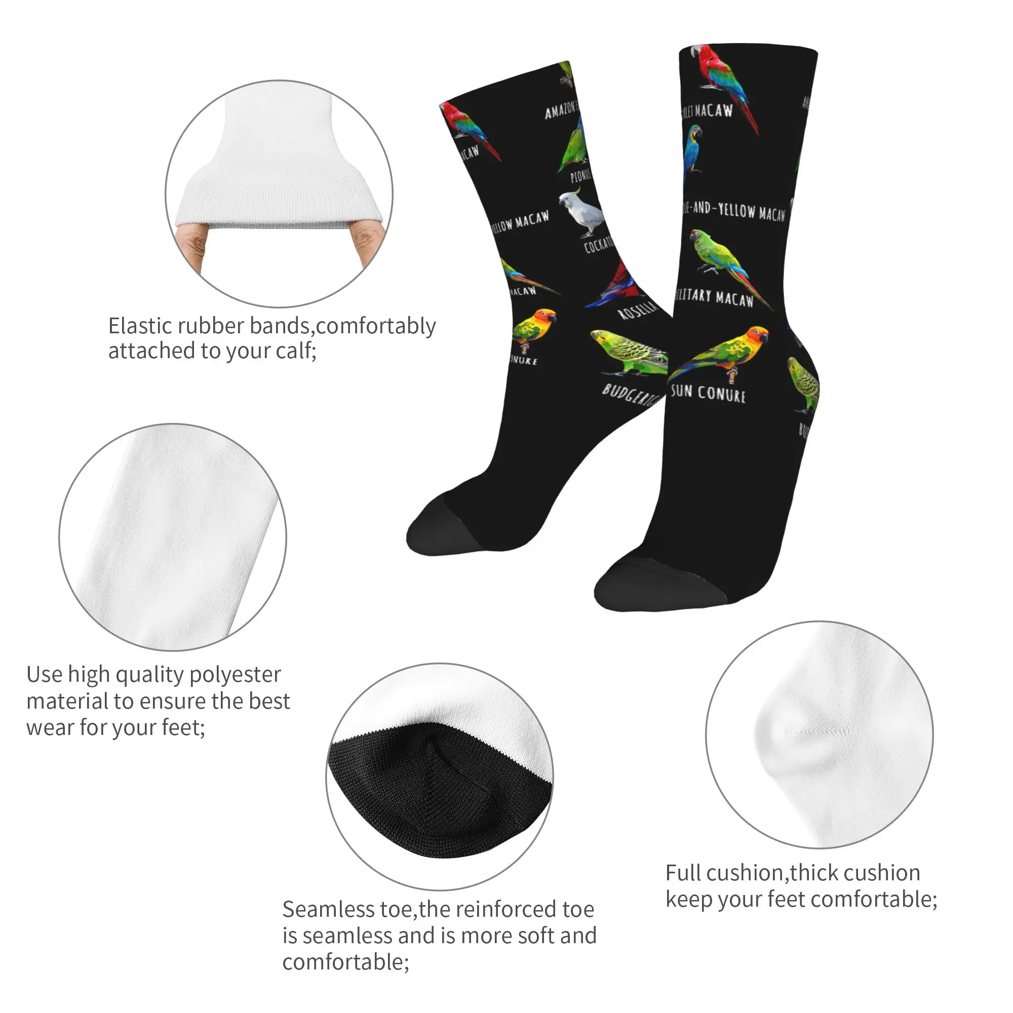 Autumn Winter Funny Unisex Parrots Bird Guide Different Parrot Species of The World Pet Socks  Sweat Absorbing Soccer Socks